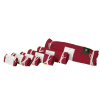 Pace_7004